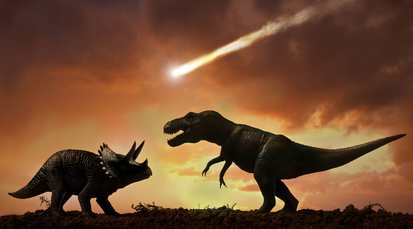 Het uitsterven van de dino’s | Natuurwijzer